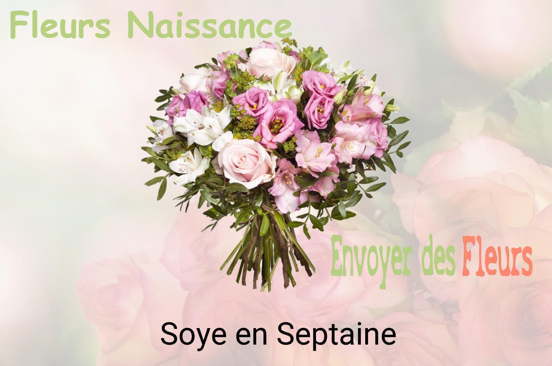 Bouquet de fleurs de naissance livré à Soye-en-Septaine