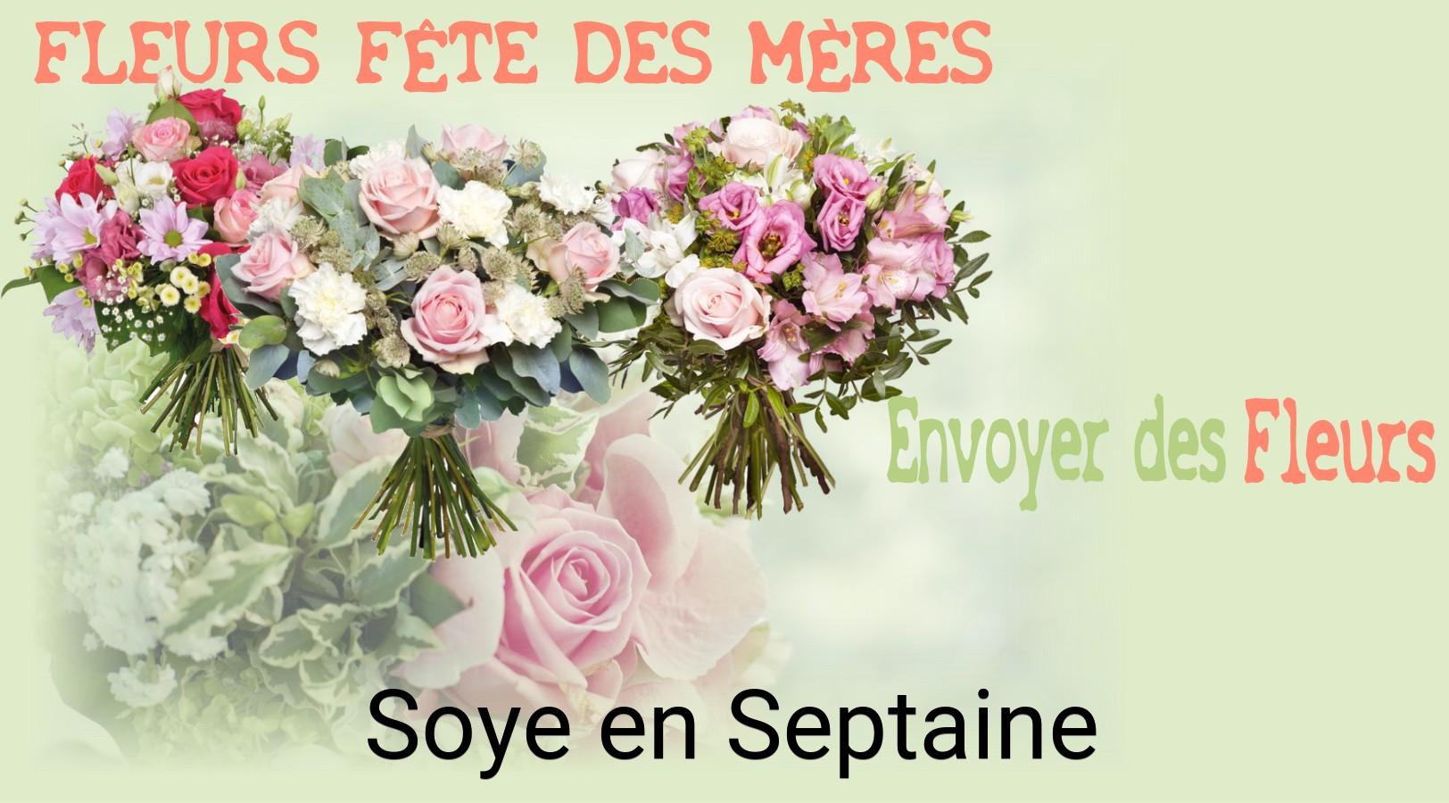 Bouquet de Fête des Mères livré à Soye-en-Septaine